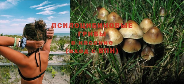 марки lsd Белокуриха