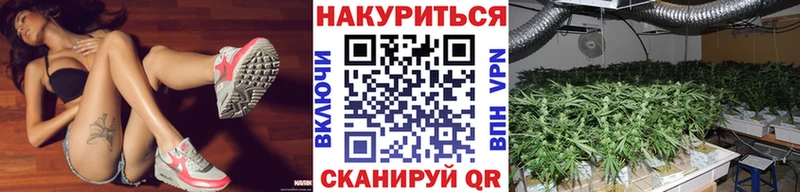 где найти наркотики Бийск Бошки Шишки конопля